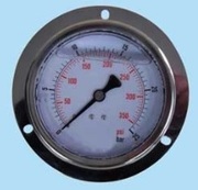 Манометр PG 63 F 250 G